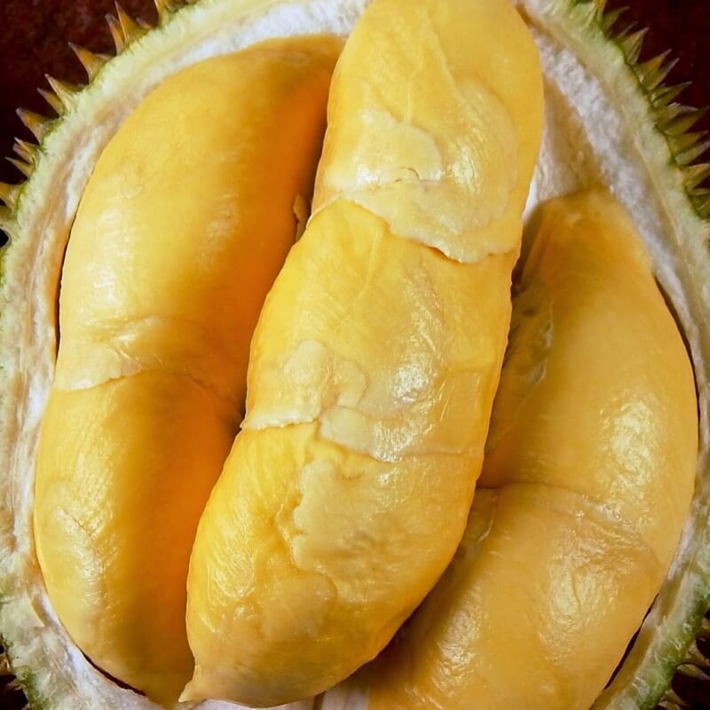 jual-bibit-durian-bawor.jpg
